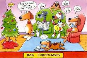 dogsxmas.jpg