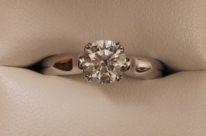 120-2095_IMG_Cropped_3.JPG