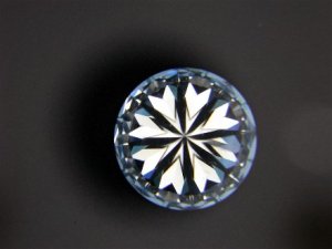 Web 245230H.jpg