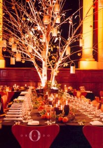 warmtree1232131.jpg