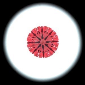 searchinvain.JPG