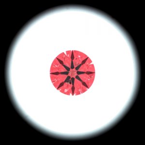 Idealscope image4631.jpg