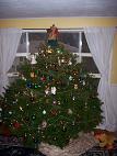 HHXmas tree 002.jpg