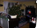 HHXmas tree.jpg