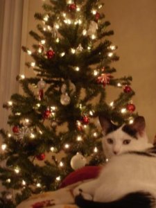 EQartietreewithmadcow.jpg