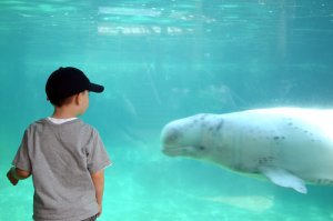 parkerwhale.jpg parkerwhale.jpg
