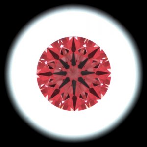IS_AGS83644061.JPG