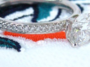 tn_IMG_1658.JPG