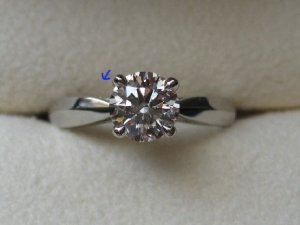 SK_crooked_IMG_1748.JPG