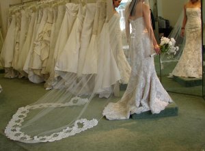 dress-5-demetrios-back.JPG