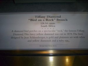 tiffyellowbird.JPG