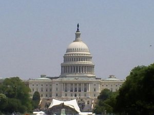 DC0001.JPG