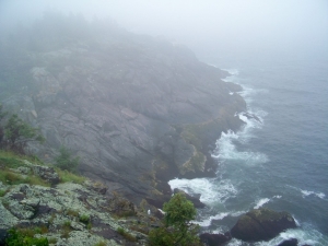 103_7220.jpg 103_7220.jpg