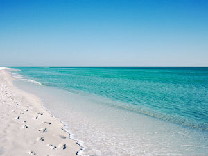 beachview.jpg