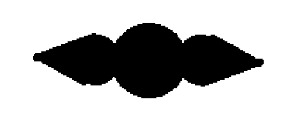 silhouette.png