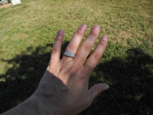 dscn0973.jpg