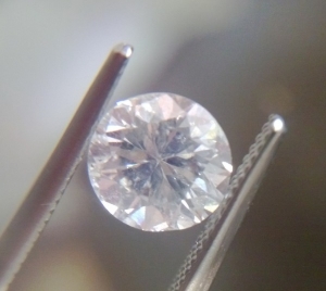 wp_20130405_008.jpg
