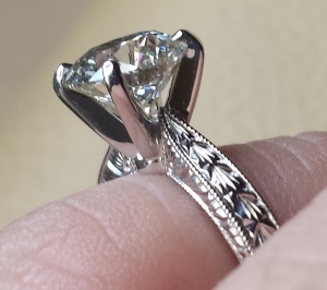 20130806_112448a.jpg