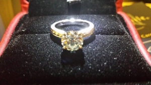 20130805_094903.jpg