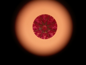 3845209.jpg
