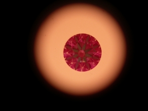 3845209-__004.jpg