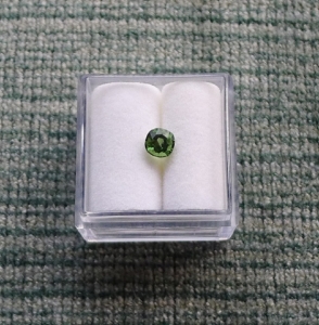 ring-mantsav_0.jpg