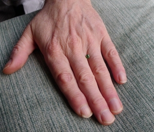 ring-manhandandtsav_0.jpg