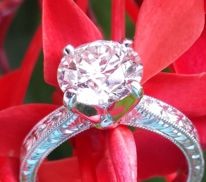 20130812_162511a.jpg