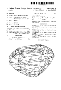patent_1.gif