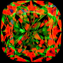 234445.jpg
