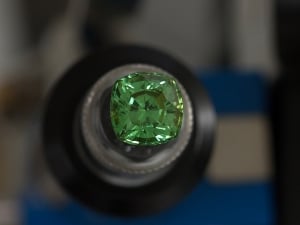 27_merelanimintproject_6836.jpg