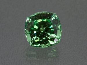30_merelanimintgarnet_6865.jpg