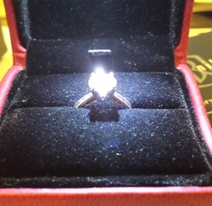 20130805_094814a.jpg
