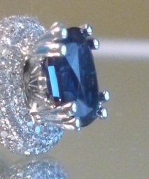 p1010122_copy_3_0.jpg