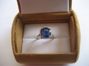 Sapphire%20on%20the%20Cape.jpg