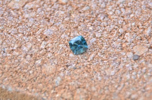 MCG%20Smaller%2012.jpg