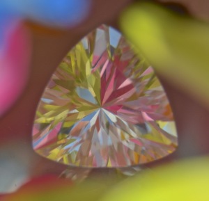 Gem%20Through%20Flowers.jpg
