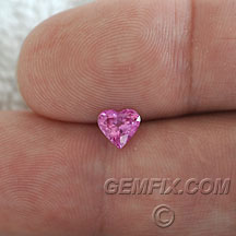 sapphire_pink_446_A.jpg