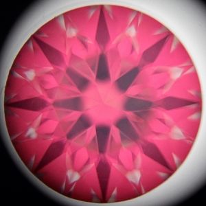 image_779.jpg