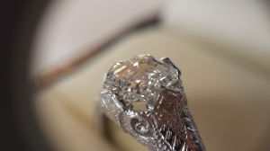 20131106_160603.jpg