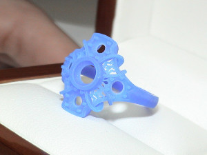 dsc00011-2.jpg