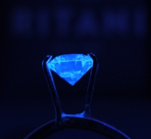 diamondflo.jpg