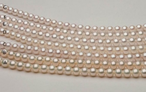 white_pearl_comparison.jpg