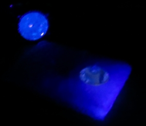 blurry_yellow_fluor.jpg