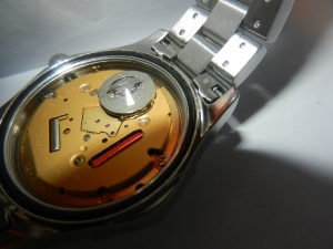 dscn3973.jpg
