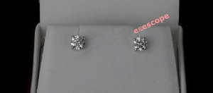 studs1_www_fixed_4.jpg