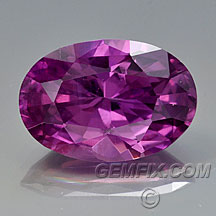 sapphire_pink_453.jpg