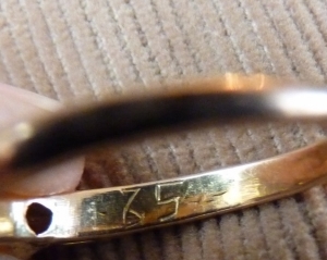 p1070470_0.jpg