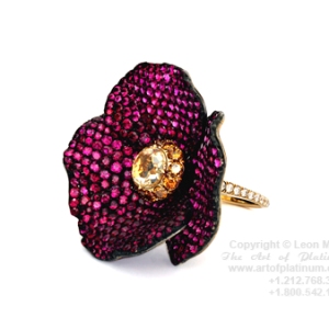 mege_ruby_ring.jpg