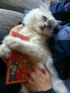 2014-01-31_10.jpg